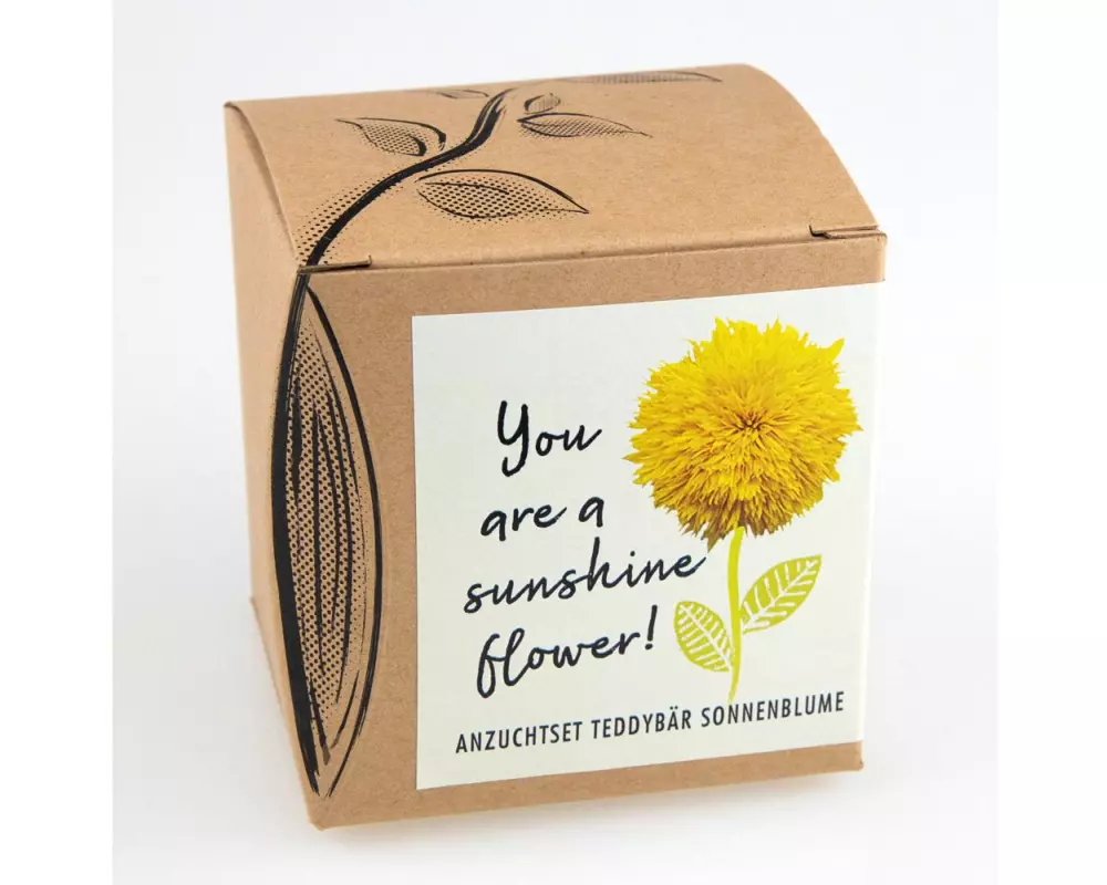 Naturkraftwerk Anzuchtset You are a Sunshine Flower
