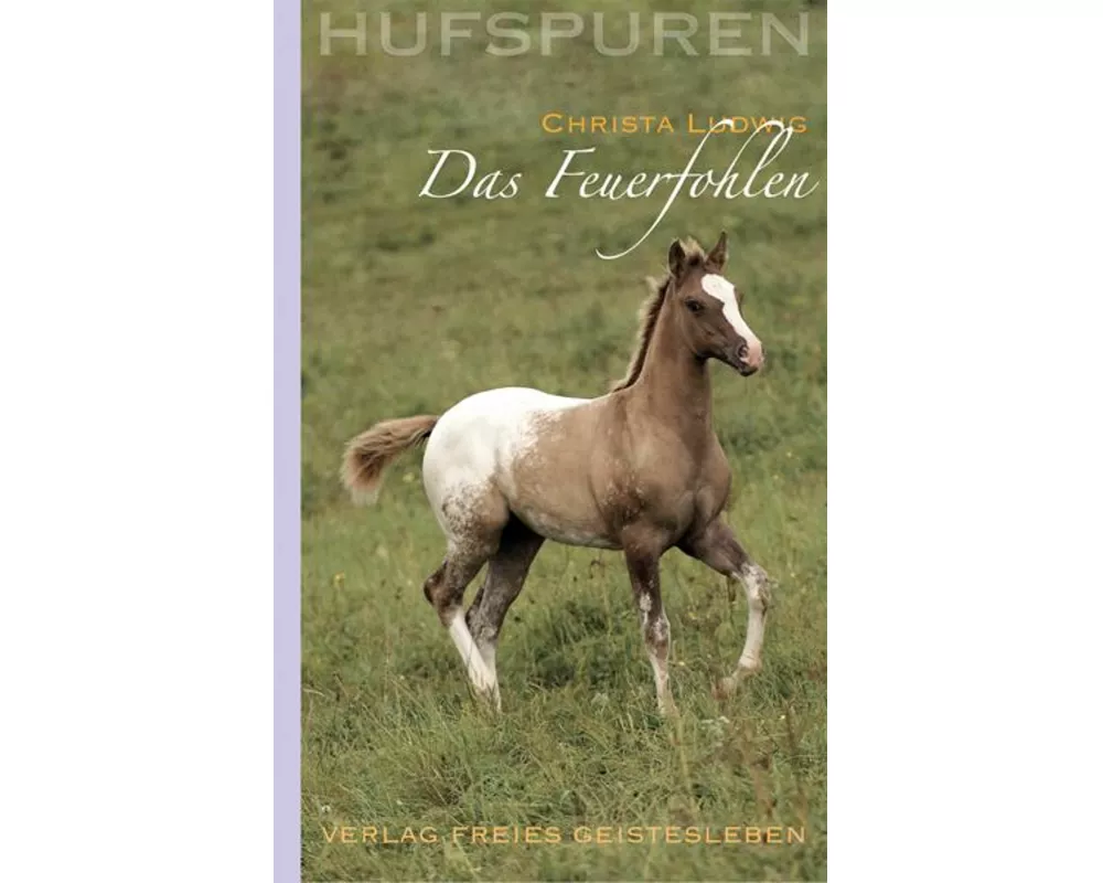 Hufspuren. Das Feuerfohlen