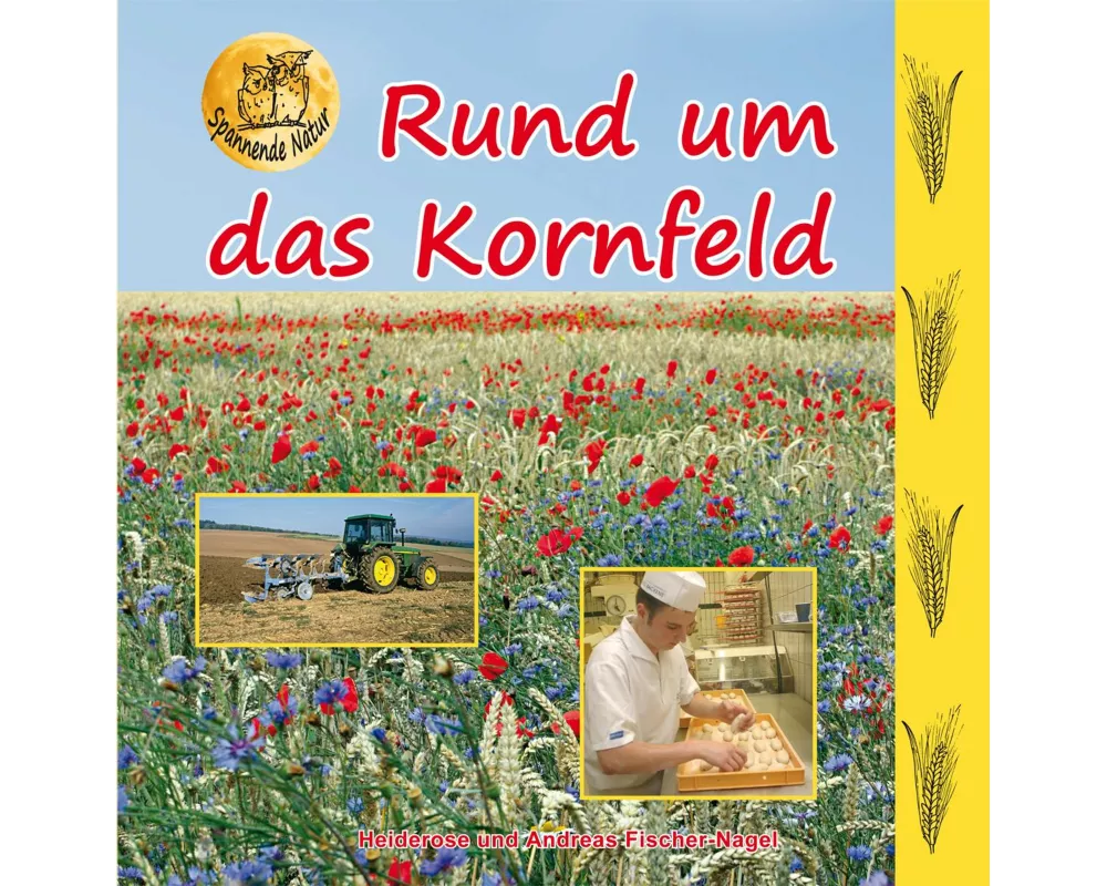 Rund um das Kornfeld