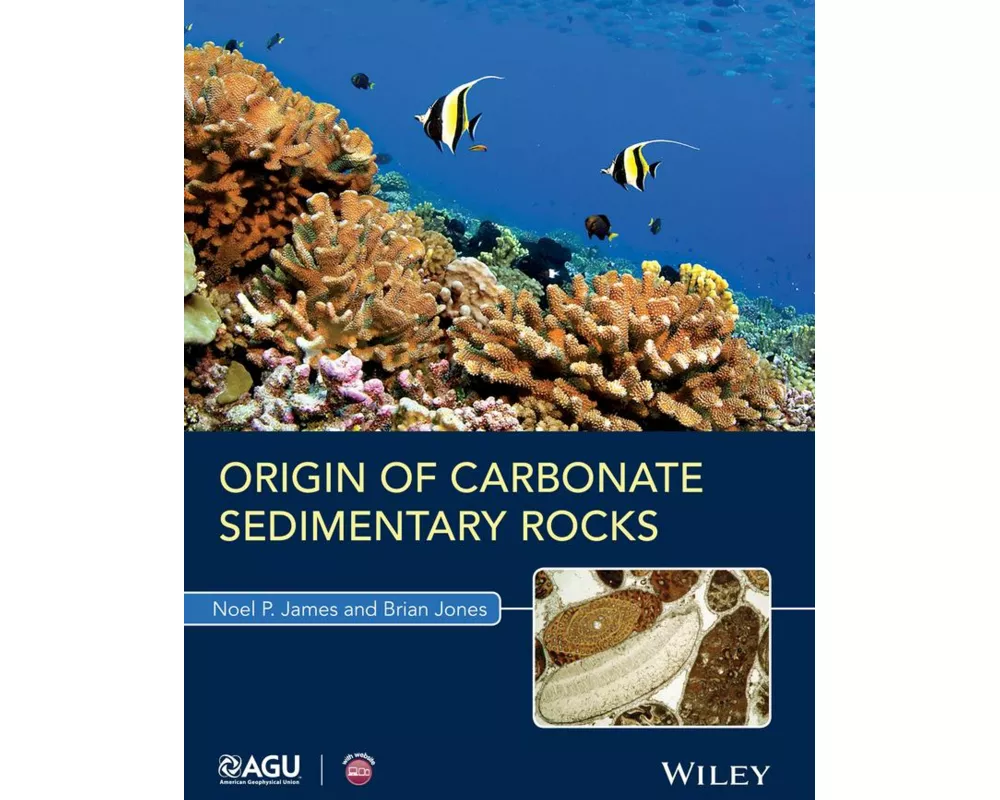 Origin of Carbonate Sedimentary Rocks