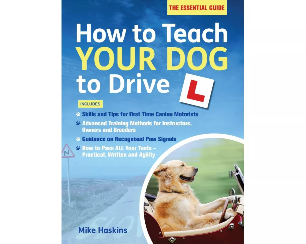 How to Teach your Dog to Drive