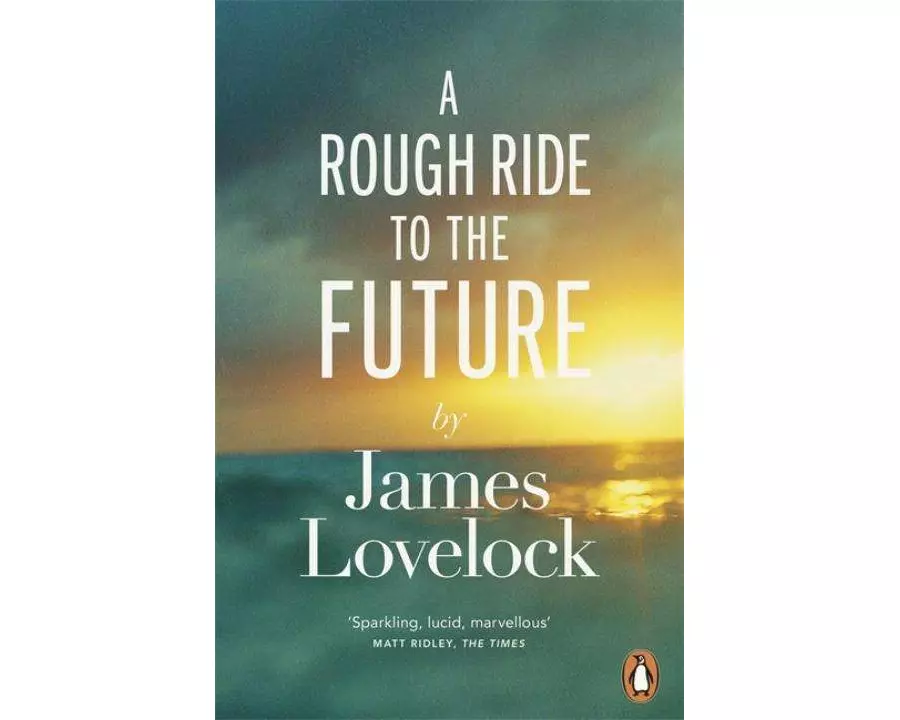 A Rough Ride to the Future