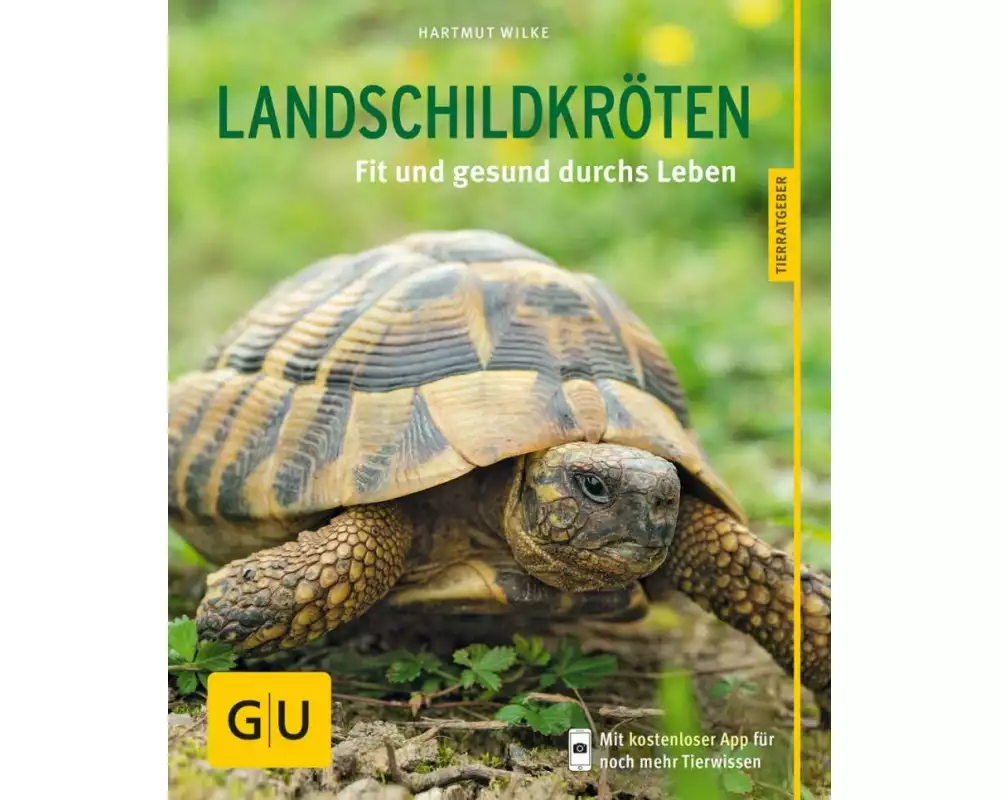 Landschildkröten