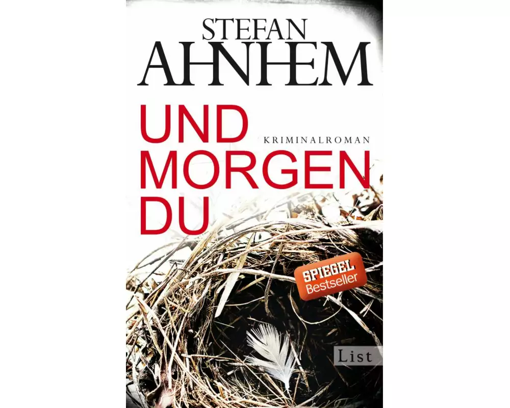 Und morgen du (Ein Fabian-Risk-Krimi 1)