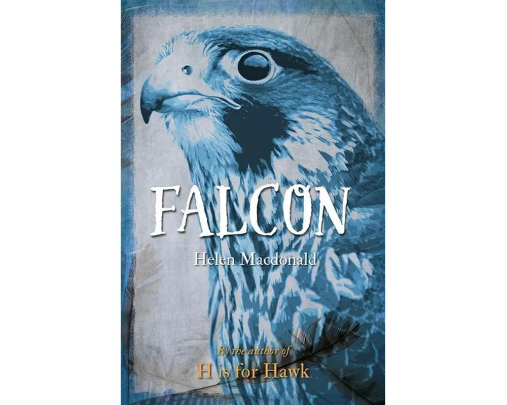 Falcon