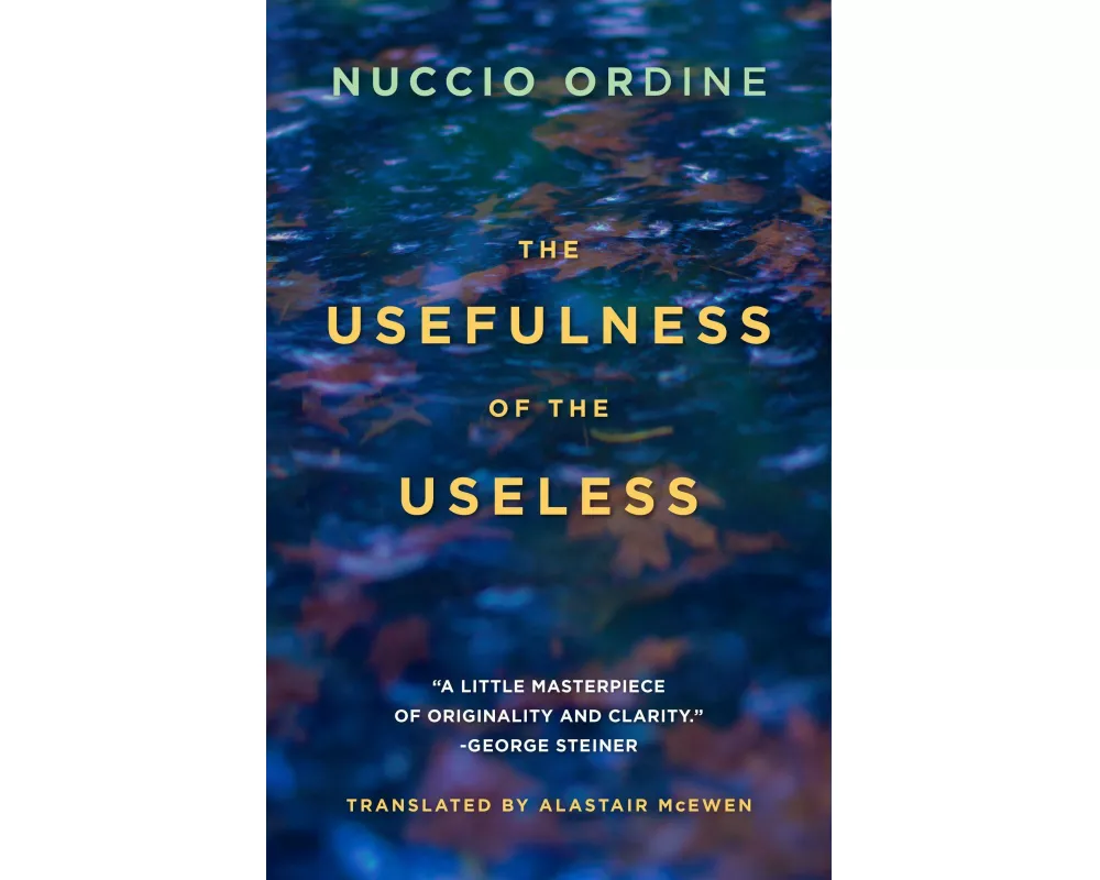 The Usefulness of the Useless