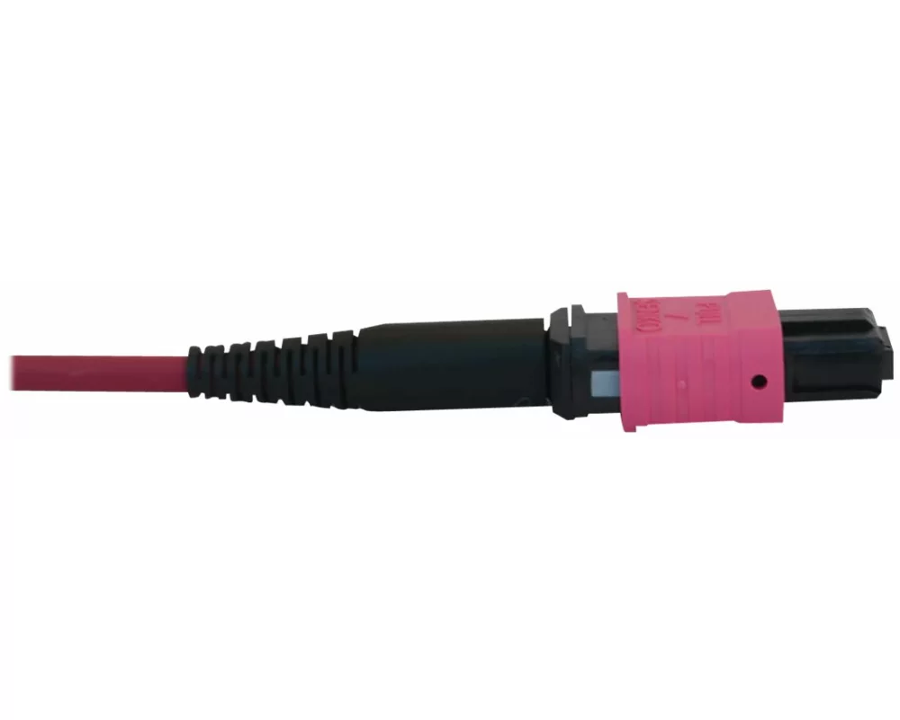 EATON TRIPPLITE 100G, Multimode, 50/125, OM4, Fiber Optic Cable, 12F, MTP/MPO-PC, F/F, LSZH, Magenta, 1m 3.3ft.
