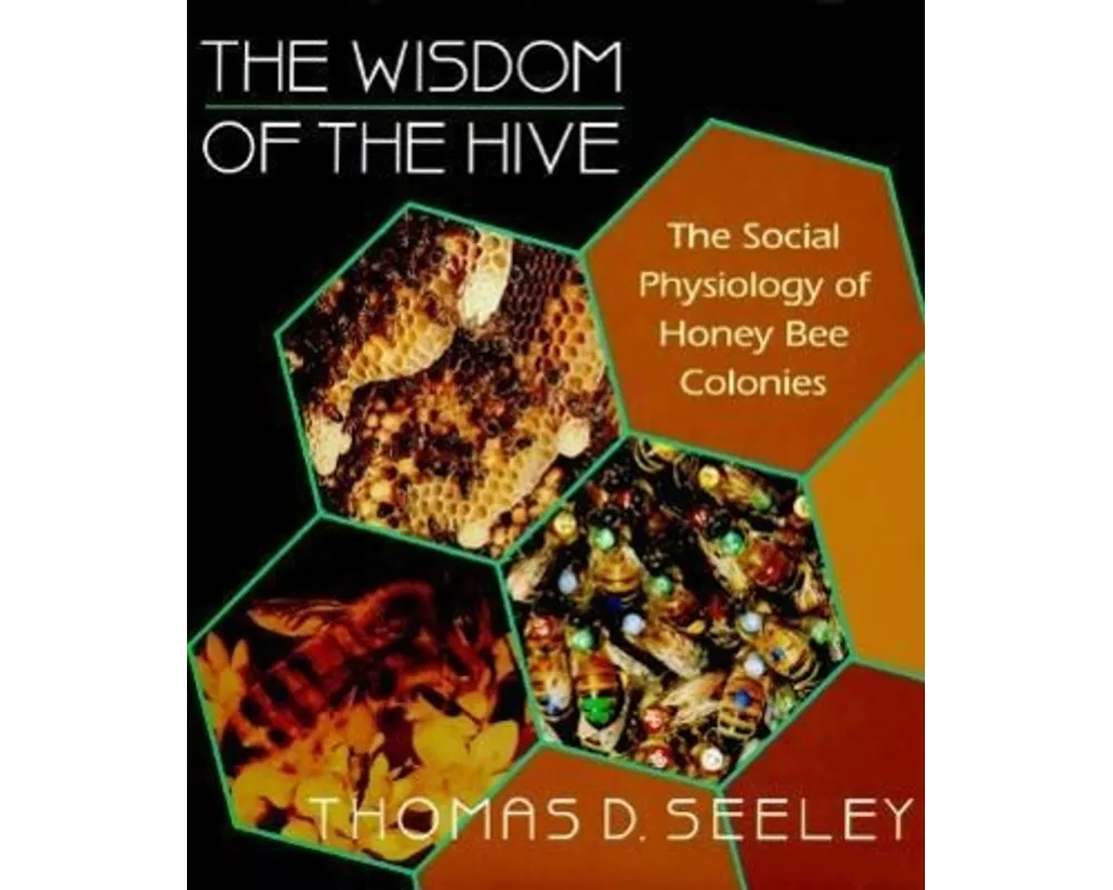 The Wisdom of the Hive