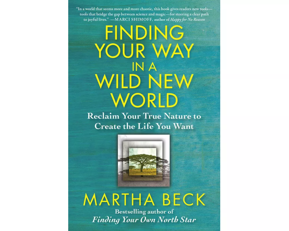 Finding Your Way in a Wild New World