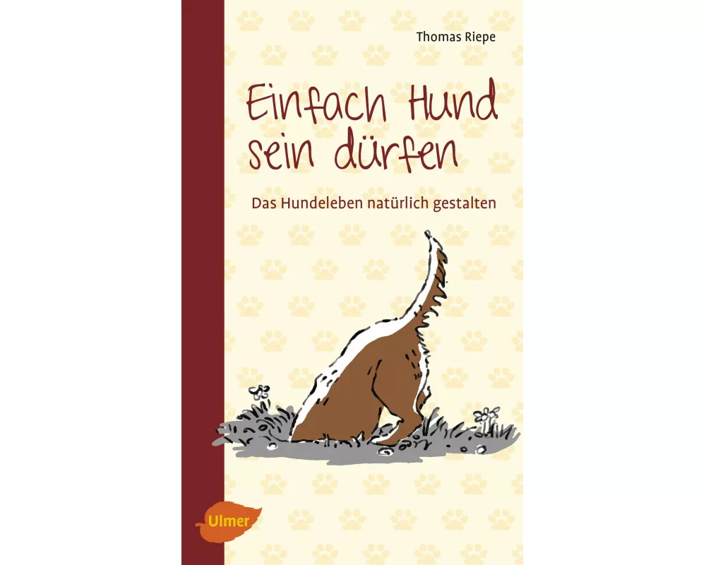 Einfach Hund sein dürfen