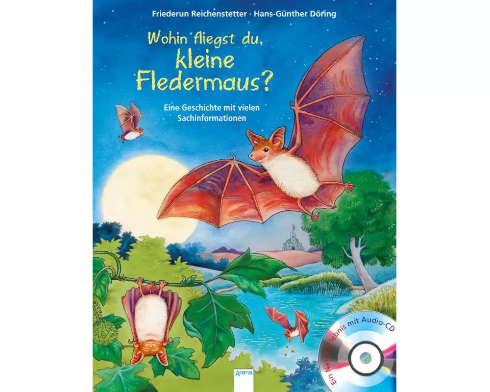 Wohin fliegst du, kleine Fledermaus?