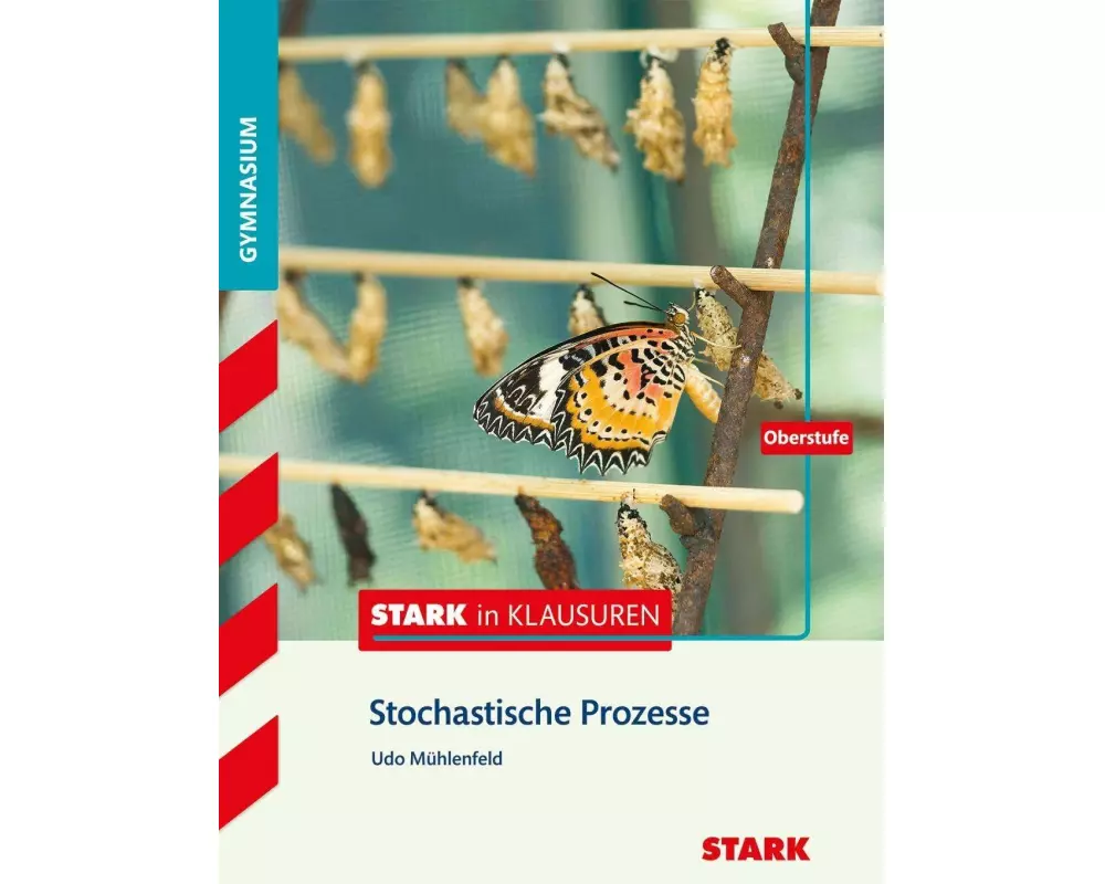 Stark in Mathematik - Prozesse und Matrizen Oberstufe