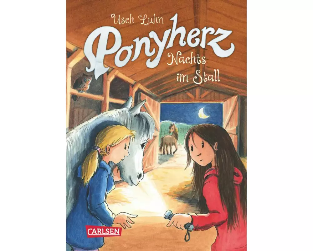 Ponyherz 6: Nachts im Stall