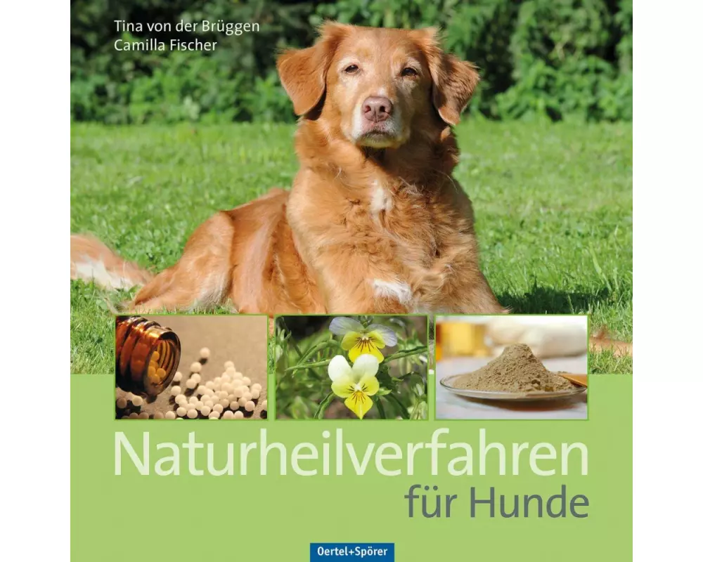 Naturheilverfahren für Hunde