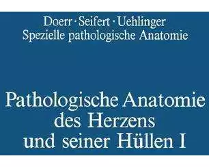 Pathologische Anatomie des Herzens und seiner Hüllen
