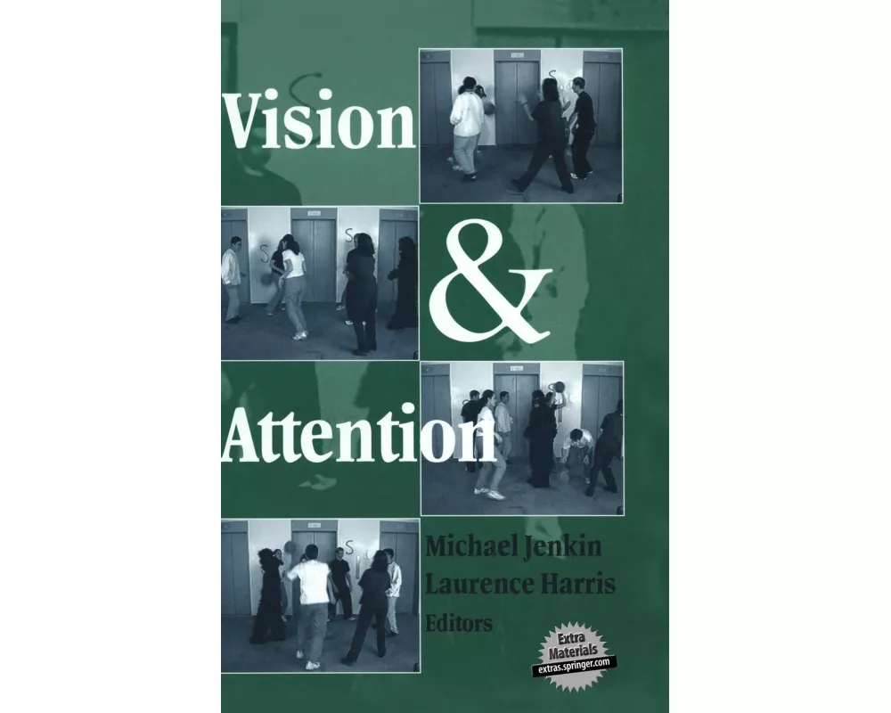 Vision and Attention