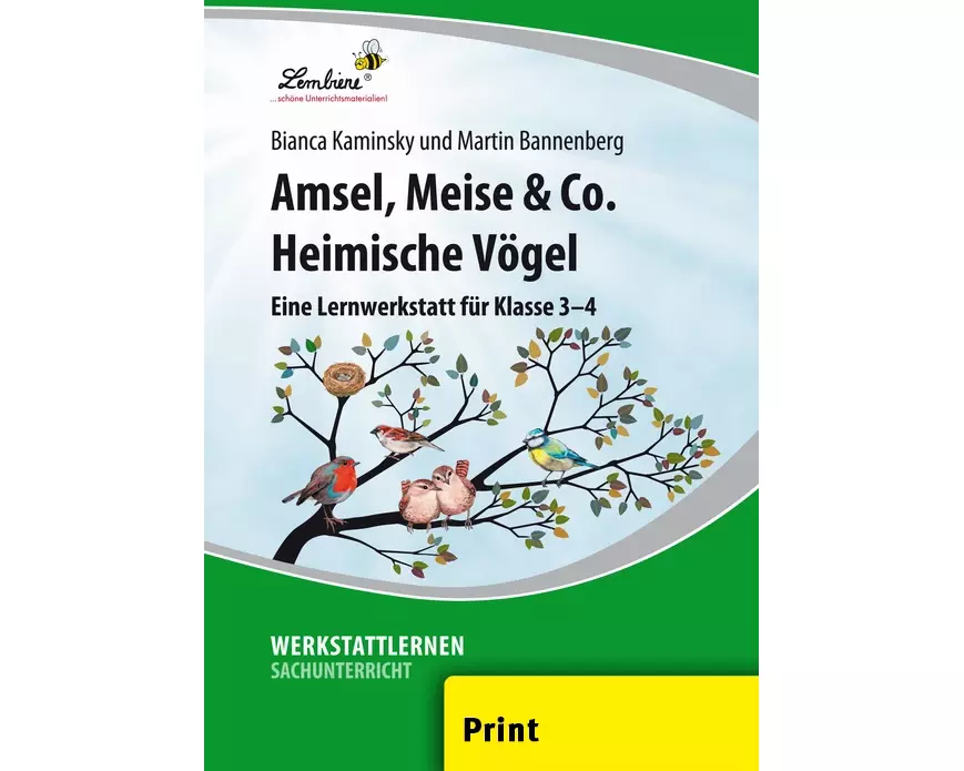 Amsel, Meise & Co: Heimische Vögel
