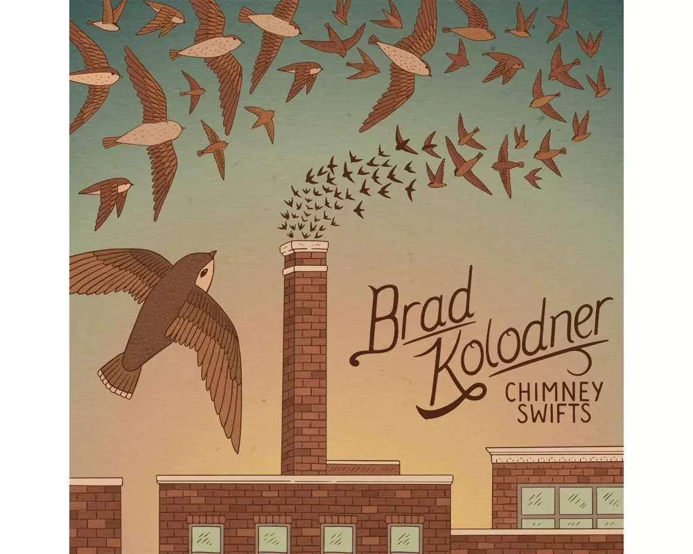 Chimney Swifts