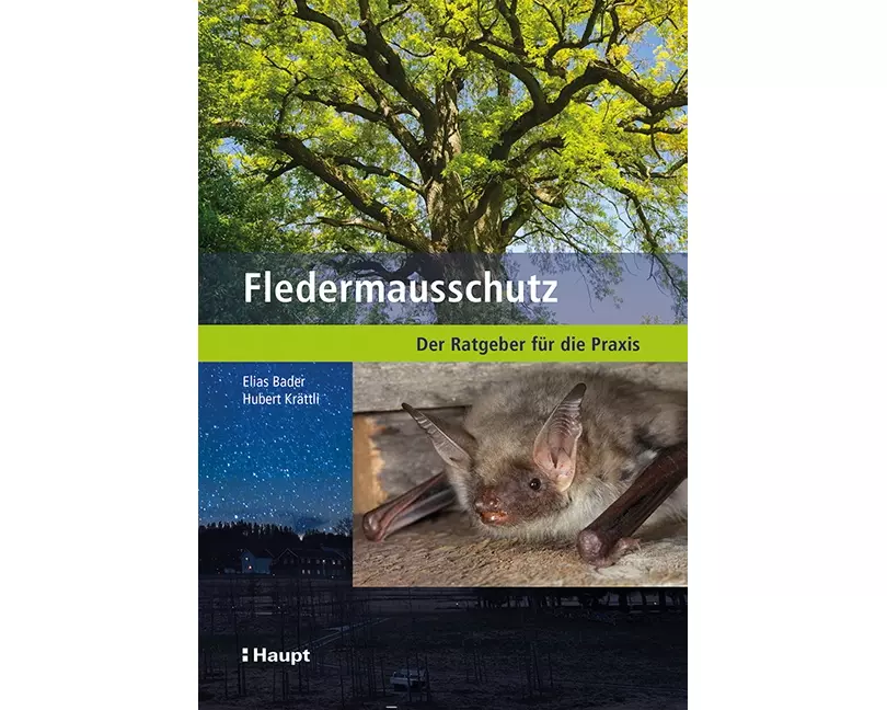 Fledermausschutz