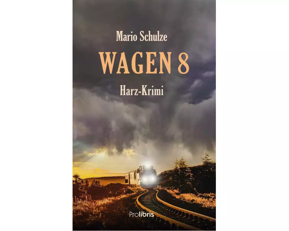 Wagen 8
