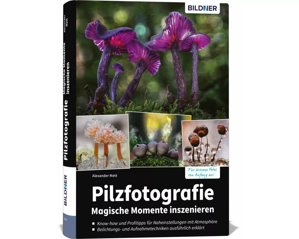 Pilzfotografie - Magische Momente inszenieren