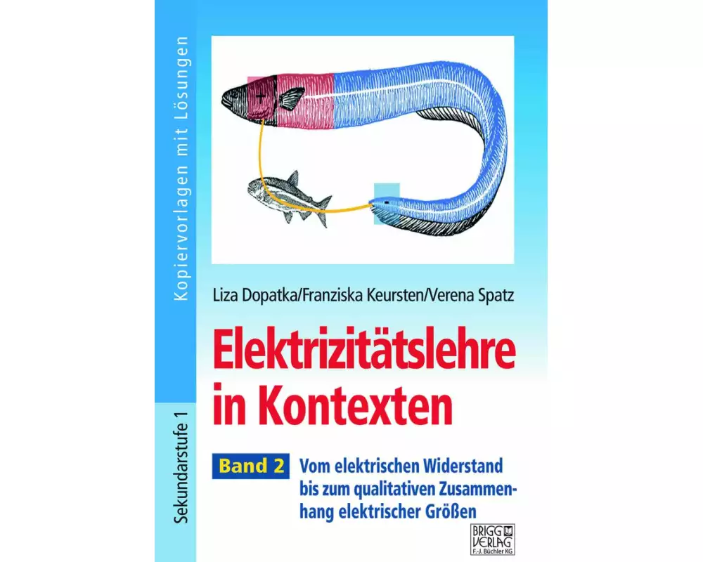Elektrizitätslehre in Kontexten - Band 2