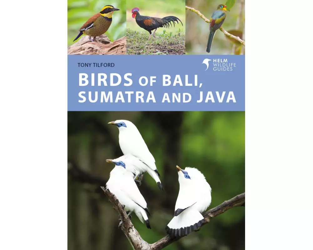 Birds of Bali, Sumatra and Java