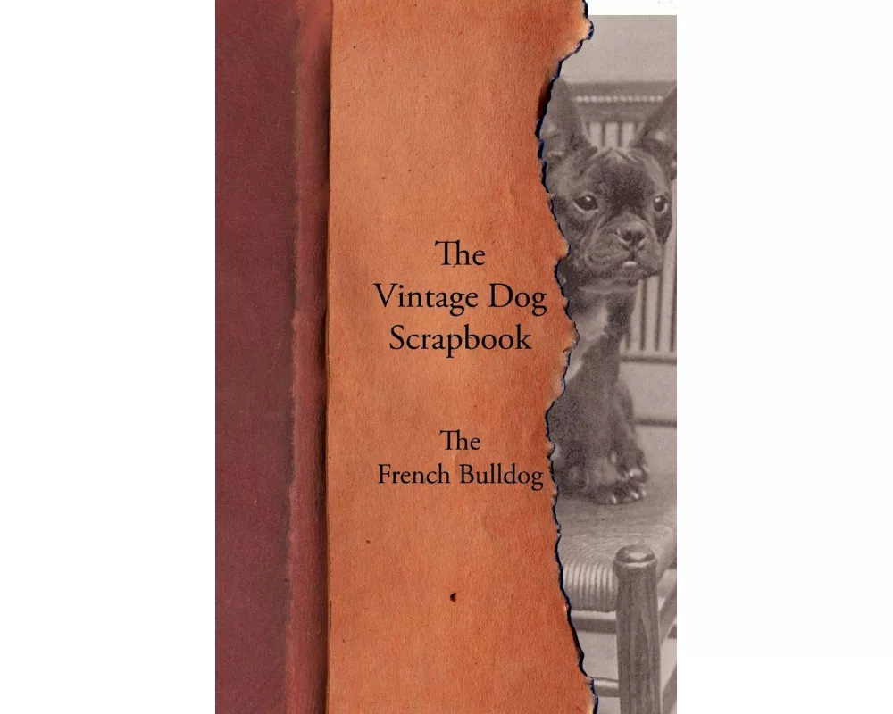 The Vintage Dog Scrapbook - The French Bulldog