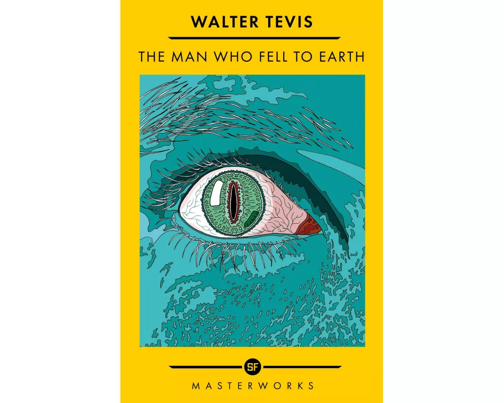 The Man Who Fell to Earth