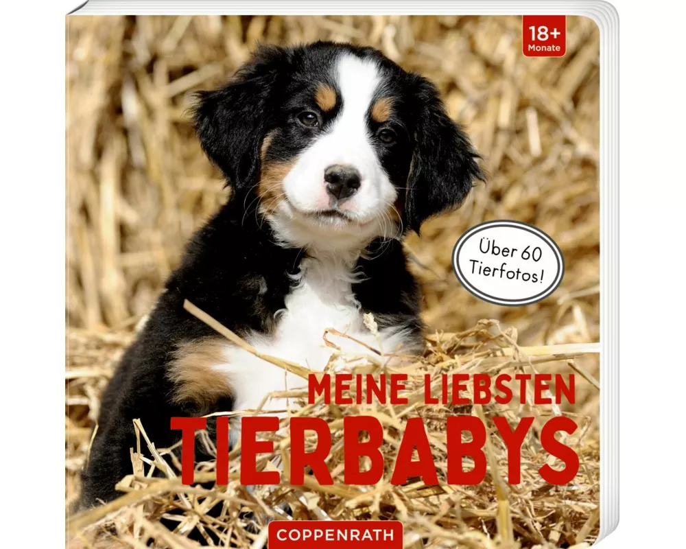 Meine liebsten Tierbabys