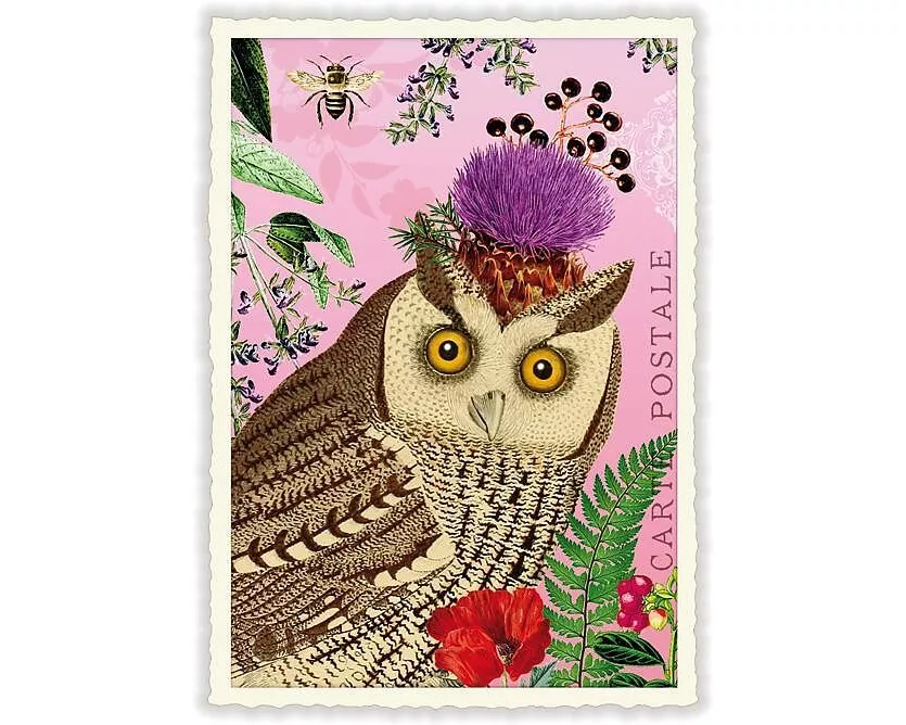 Postkarte / Eule / blanko