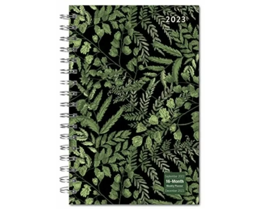 Designer Fancy Ferns