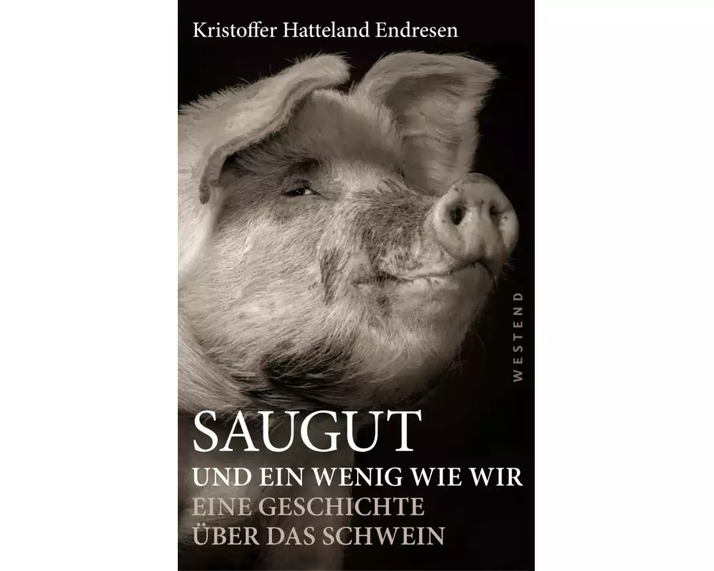 Saugut und ein wenig wie wir