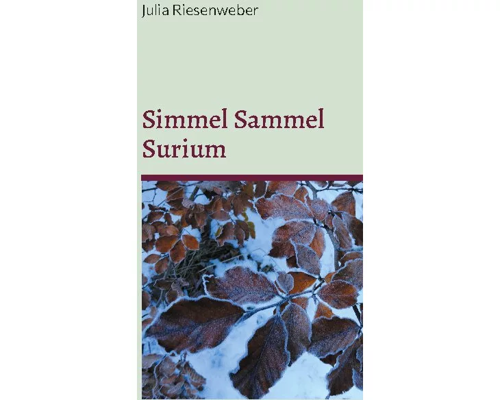 Simmel Sammel Surium