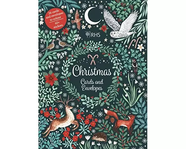 Christmas Cards and Envelopes