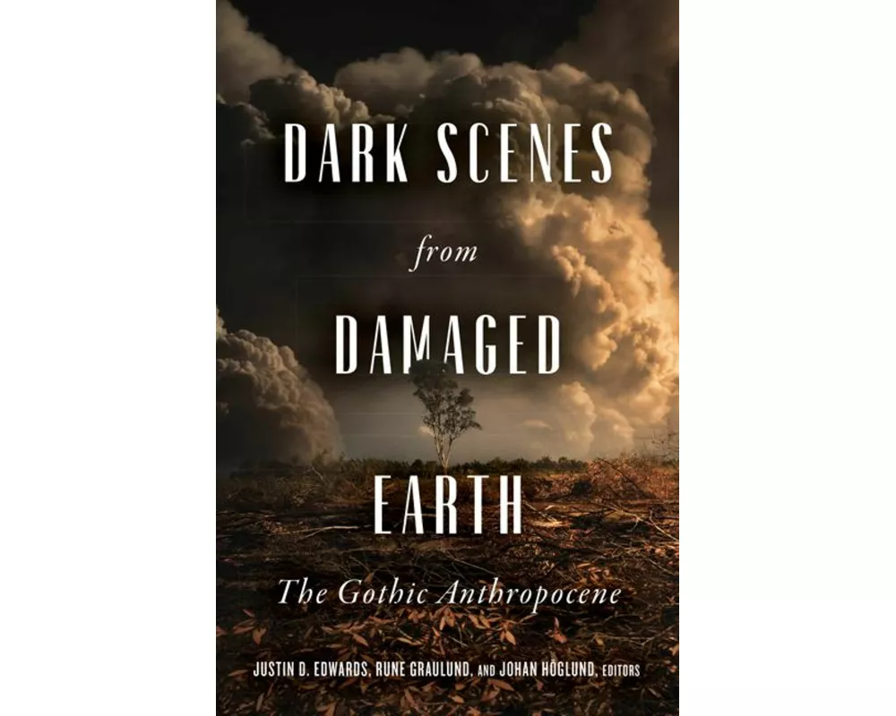 Dark Scenes from Damaged Earth