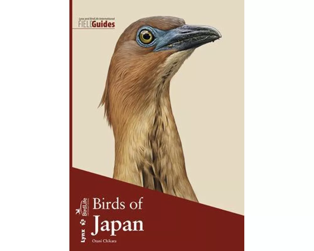 Birds of Japan