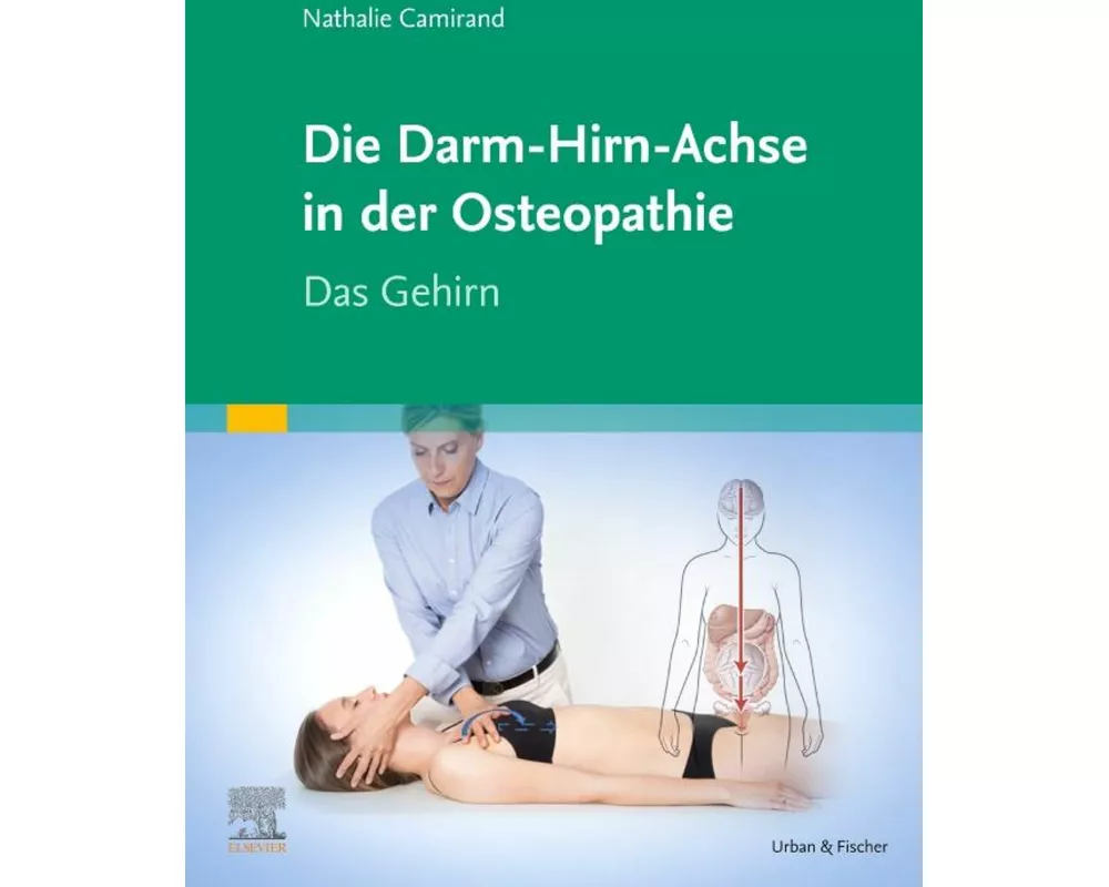 Die Achse Hirn-Darm-Becken in der Osteopathie
