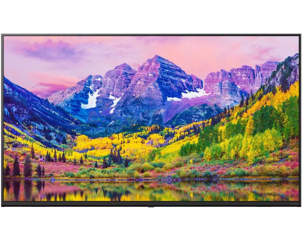 LG Hotel-TV 65UK762H 65 "