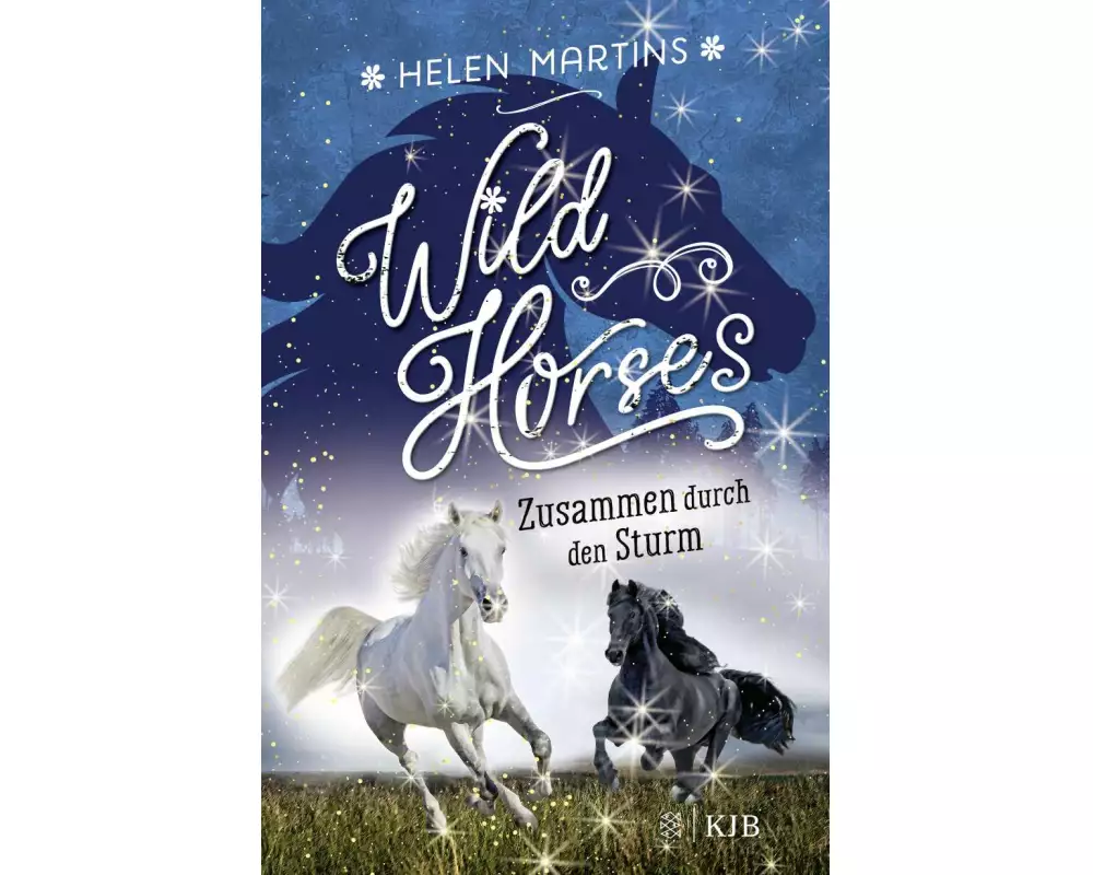 Wild Horses − Zusammen durch den Sturm