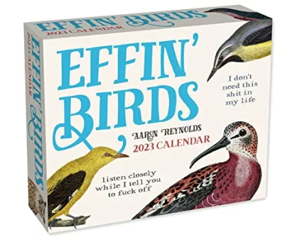 Reynolds, A: EFFIN BIRDS 2023 DAY-TO-DAY CA