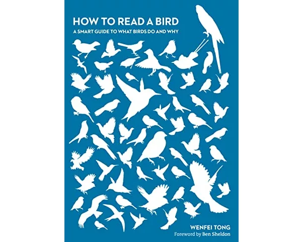 How to Read a Bird