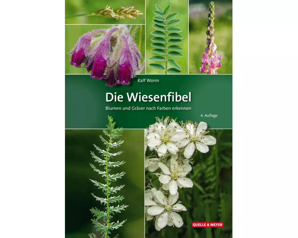 Die Wiesenfibel
