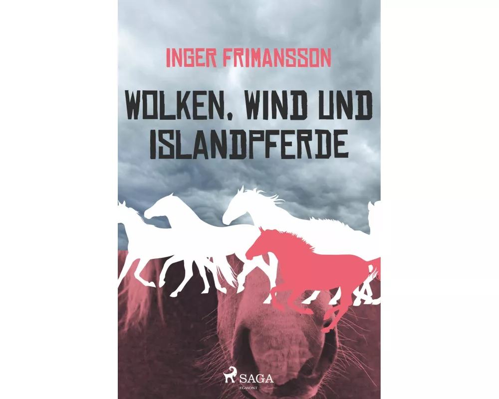 Wolken, Wind und Islandpferde