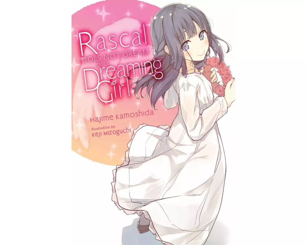 Rascal Does Not Dream of a Dreaming Girl (light novel)