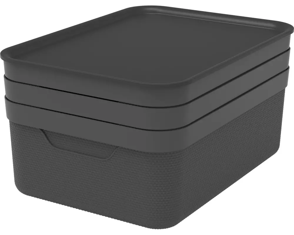 Rotho Aufbewahrungsbox JIVE Schwarz