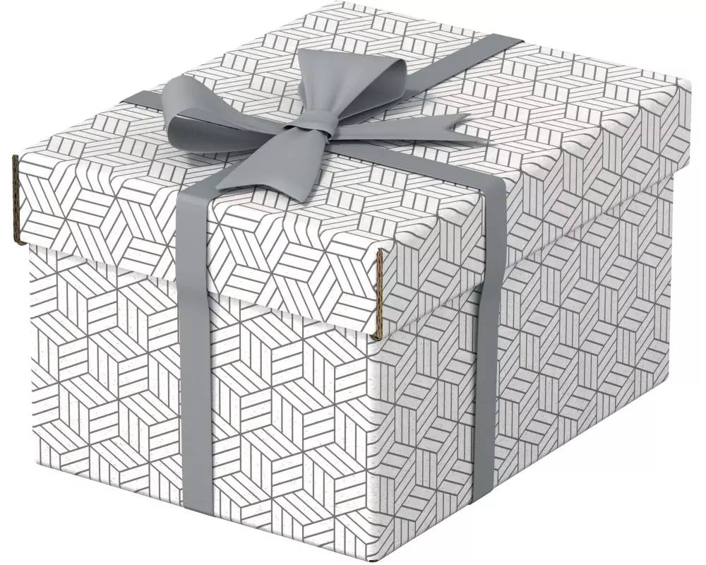 Leitz Aufbewahrungsbox Esselte Home S Klein, 3 Stück, Weiss