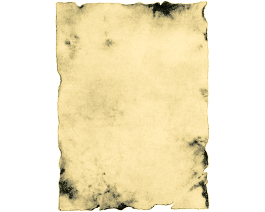 EROLA Antikpapier A4 1850/100 170g 100 Stück