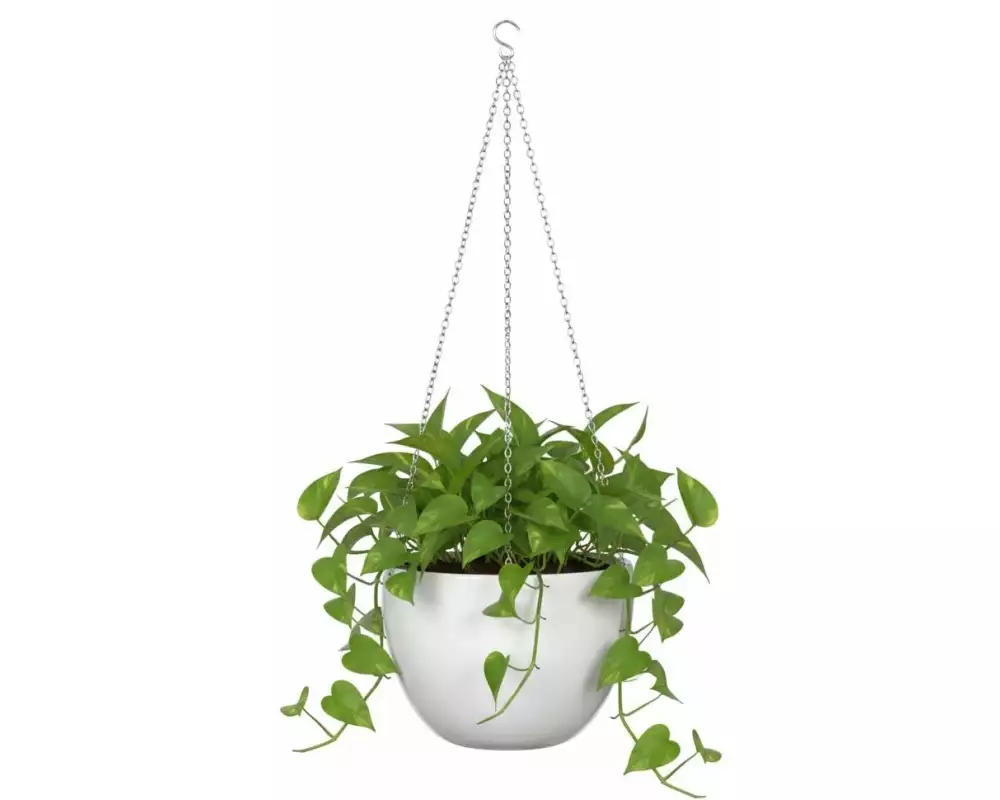 scheurich Übertopf Hängeampel Alaska Weiss, 18 cm