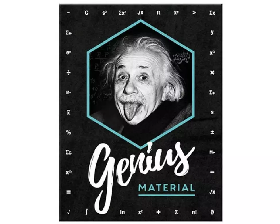 Nostalgic Art Haftmagnet Einstein 1 Stück, Schwarz